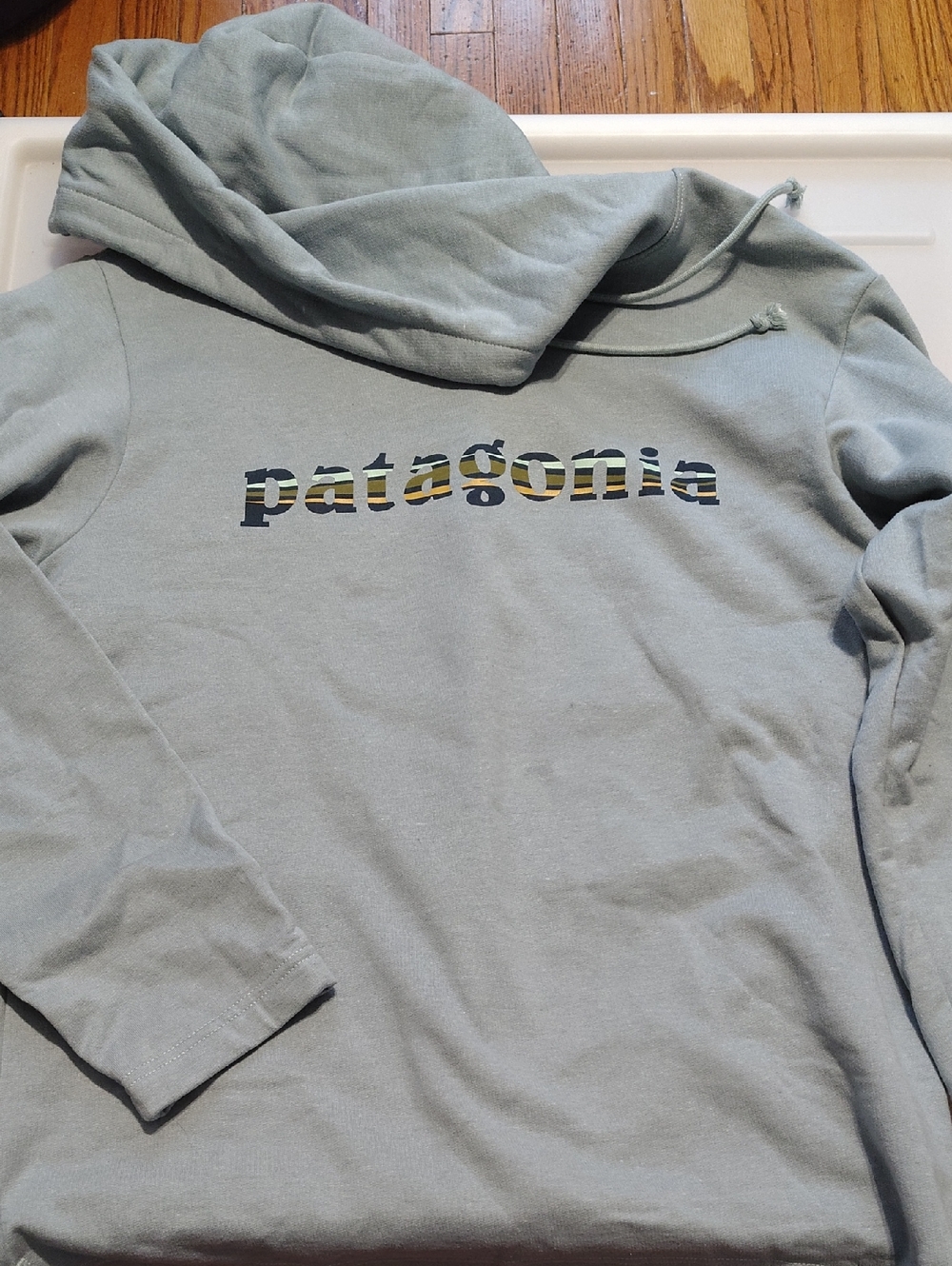 Patagonia Light Weight Logo Wildrise Hoody